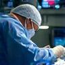 Vet surgeon in operating theater