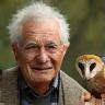 Elderly man with barn owl